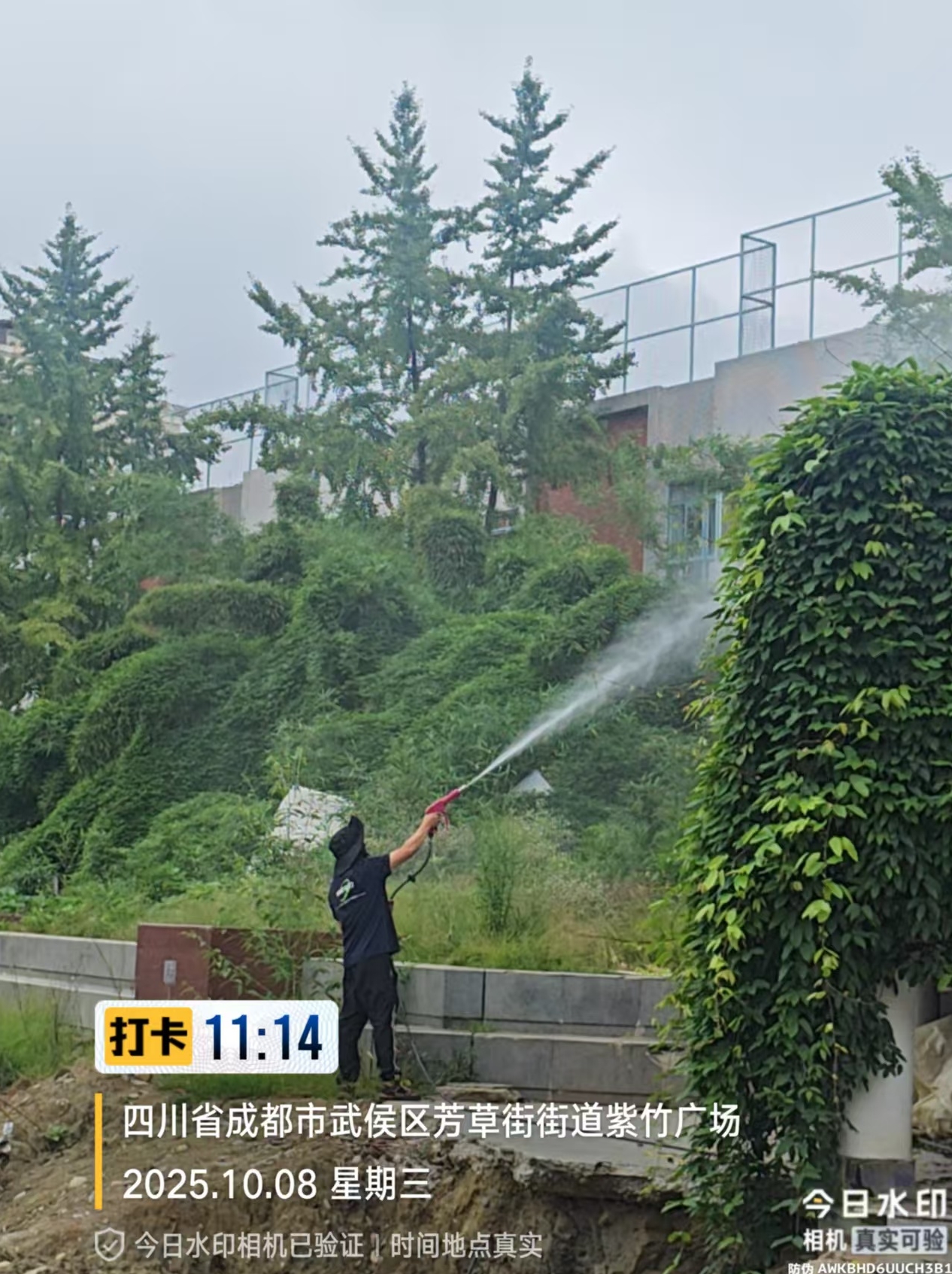 公园绿化消杀项目