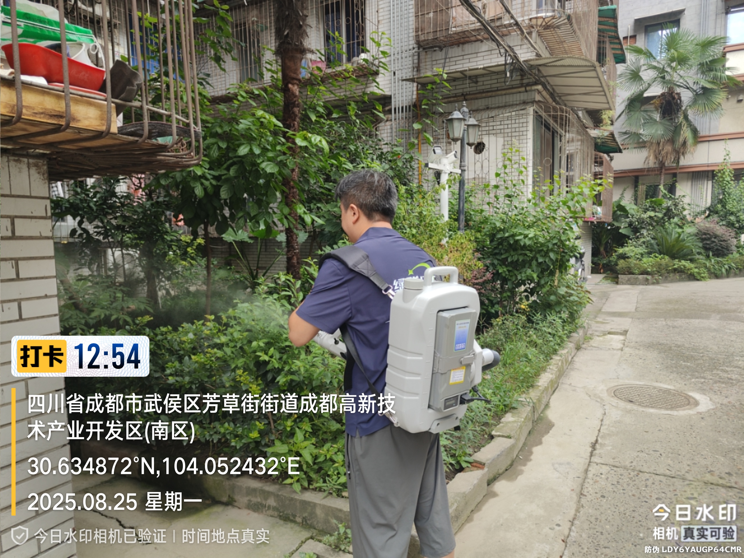 越冬蚊消杀技巧