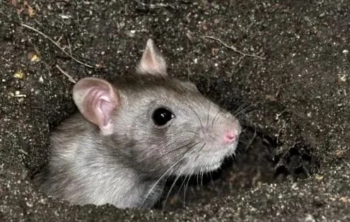 mmexport1771171450222