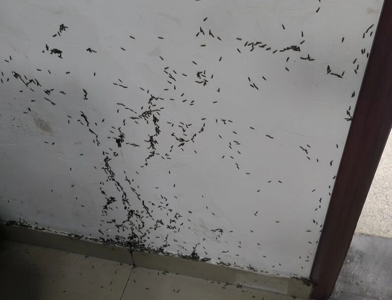 mmexport1771385080953